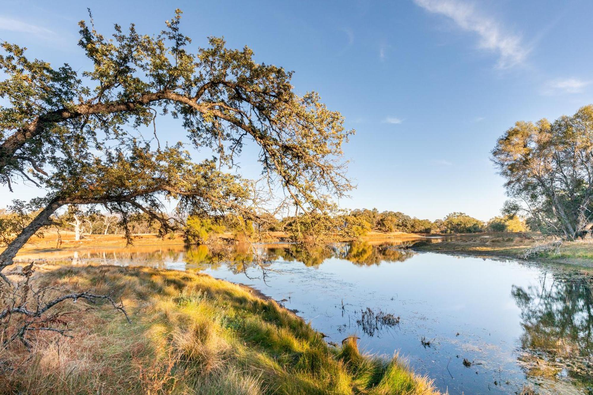 Rolling Oaks Ranch - 200 Acres Of Lakeside Beauty & Countryside Serenity Марипоса Екстериор снимка
