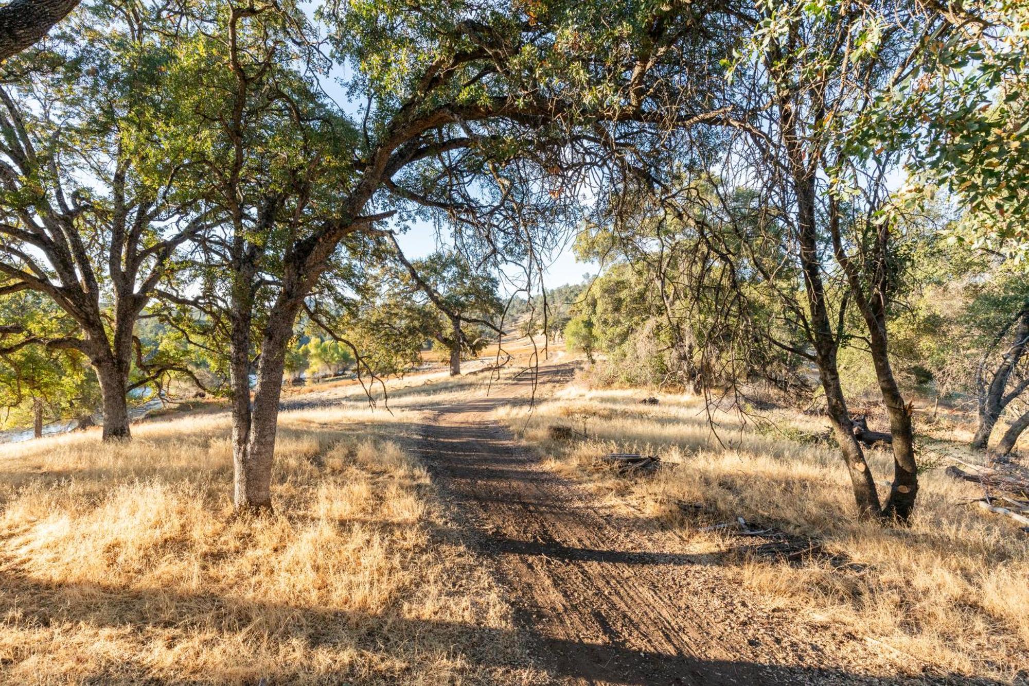 Rolling Oaks Ranch - 200 Acres Of Lakeside Beauty & Countryside Serenity Марипоса Екстериор снимка