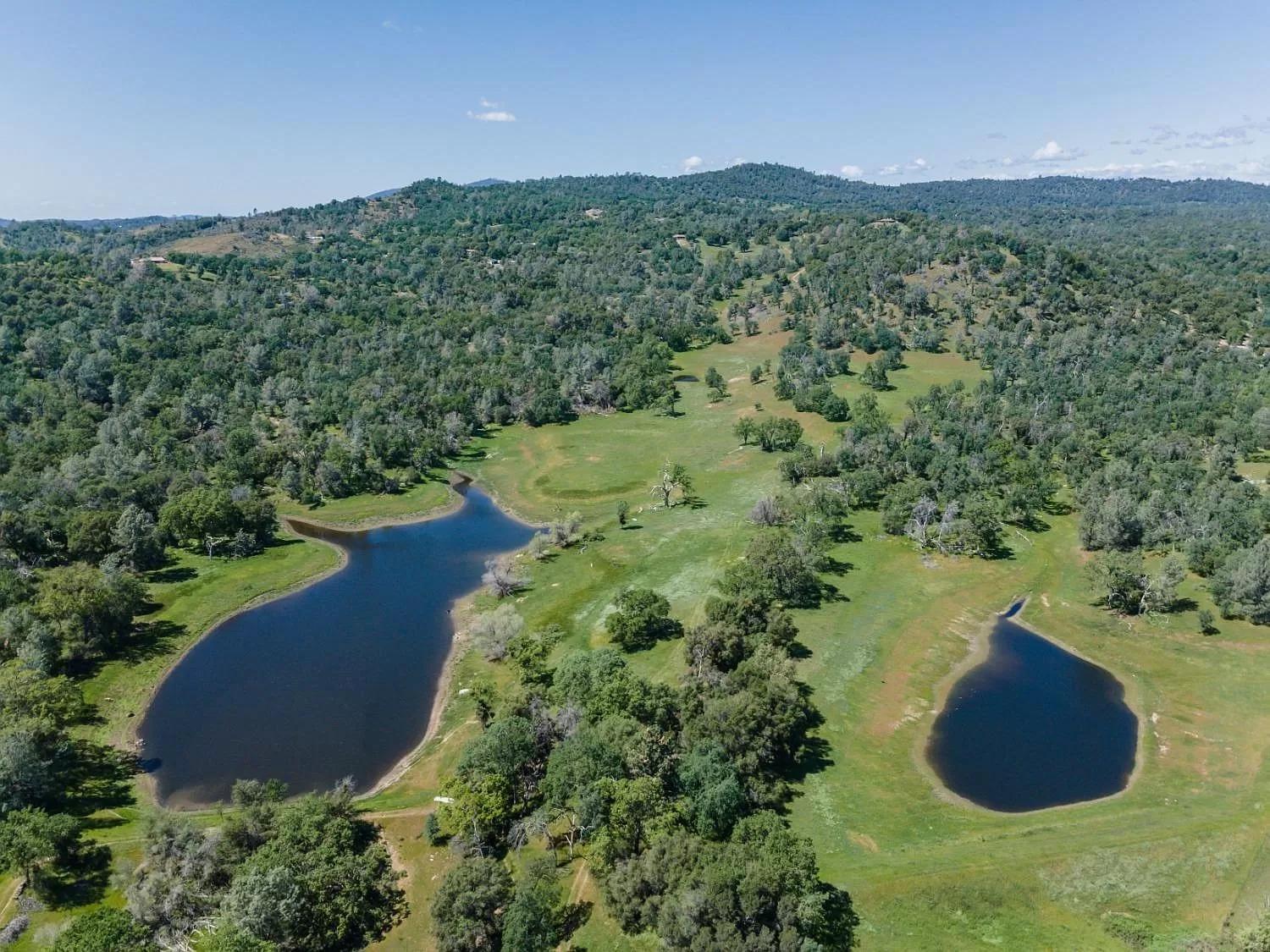 Rolling Oaks Ranch - 200 Acres Of Lakeside Beauty & Countryside Serenity Марипоса Екстериор снимка