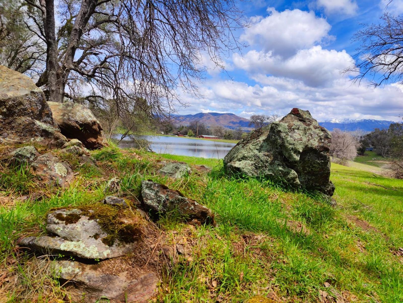 Rolling Oaks Ranch - 200 Acres Of Lakeside Beauty & Countryside Serenity Марипоса Екстериор снимка