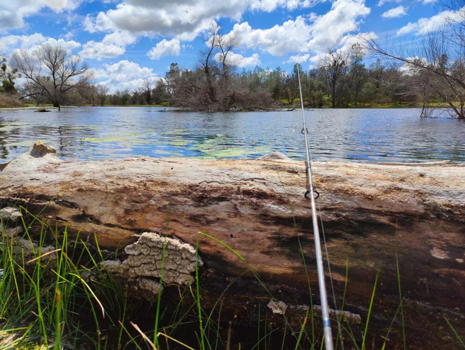 Rolling Oaks Ranch - 200 Acres Of Lakeside Beauty & Countryside Serenity Марипоса Екстериор снимка